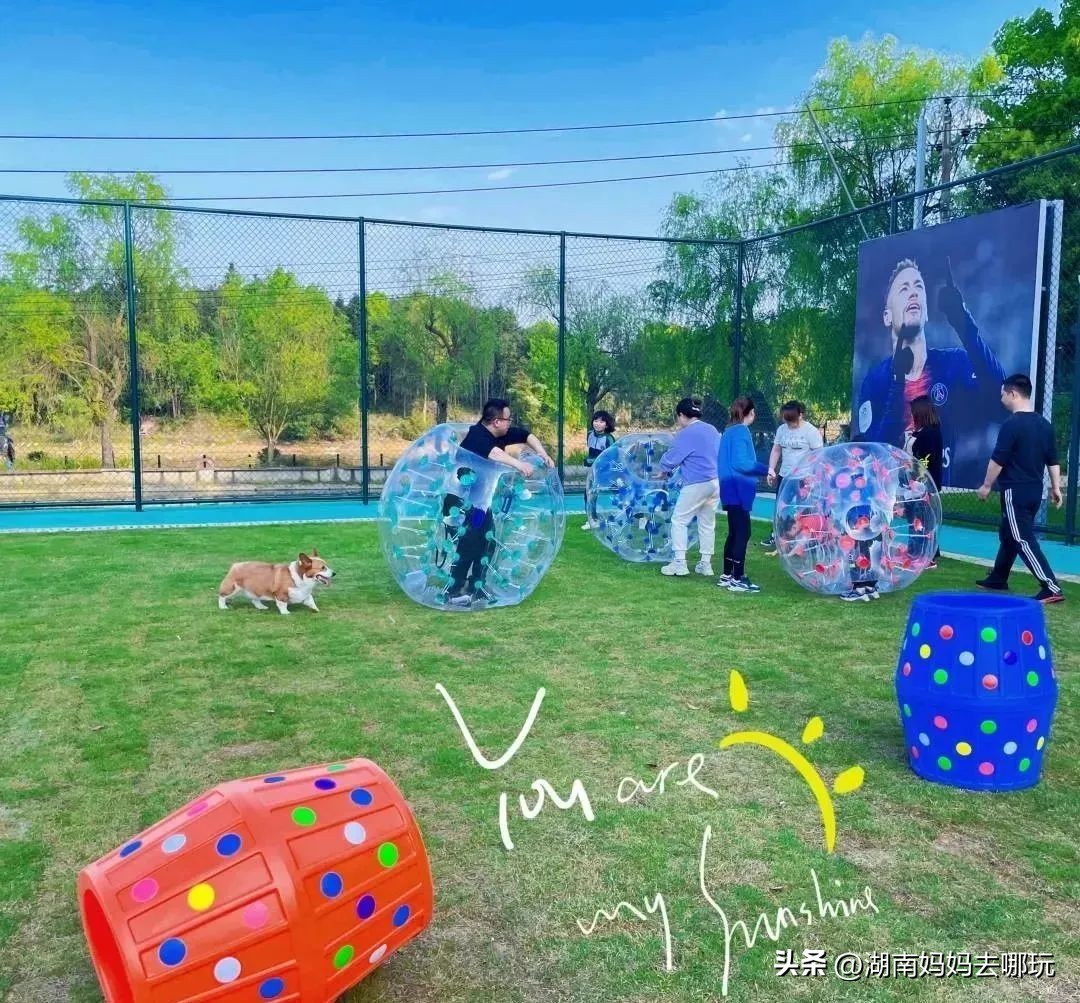 长沙周边乡村美出新花样！非洲“小小国”、网红鱼鳞坝，每一个都超想去