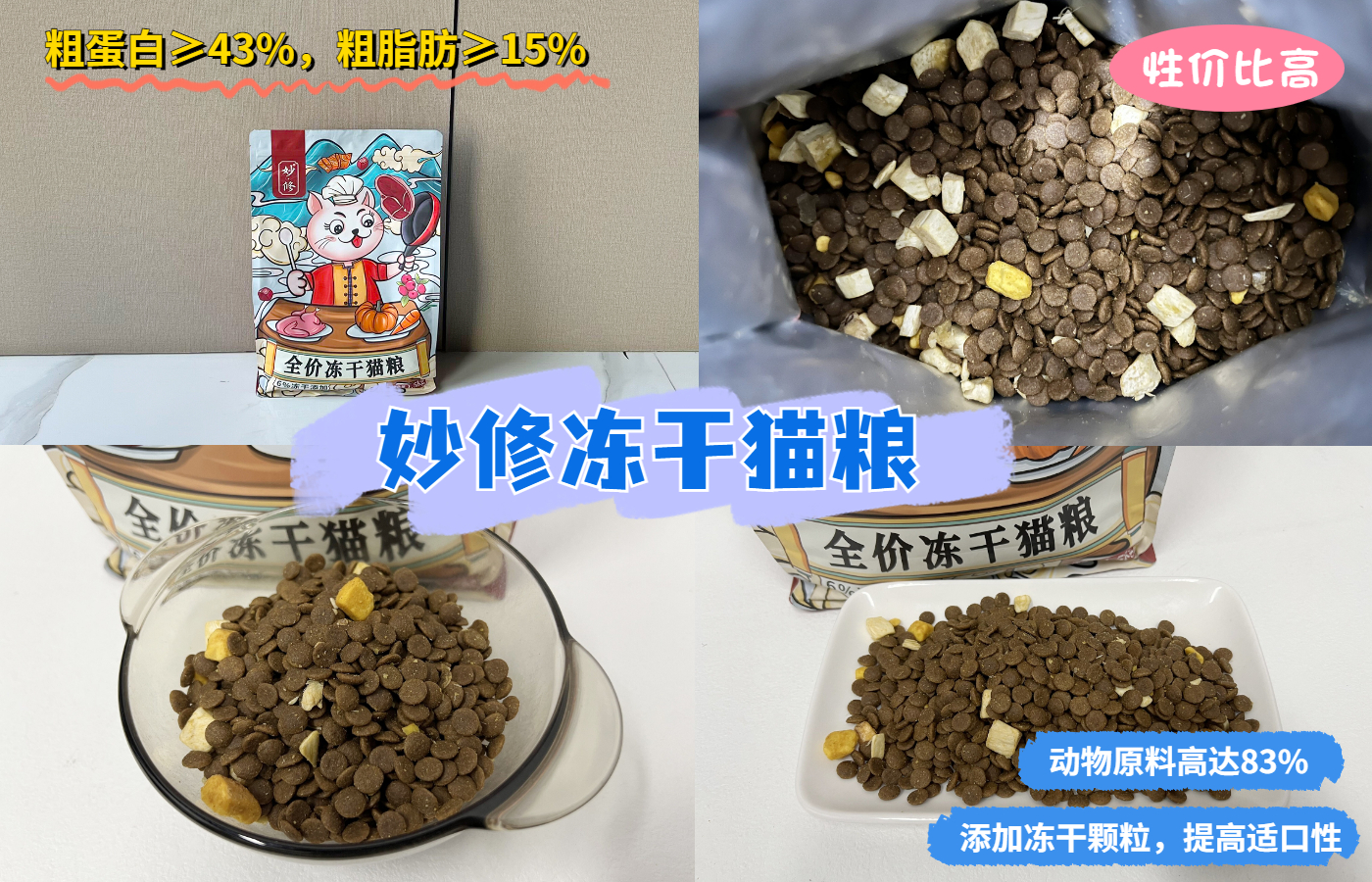 不管多生气也不要冷暴力,无论多生气也别打猫咪这几个部位