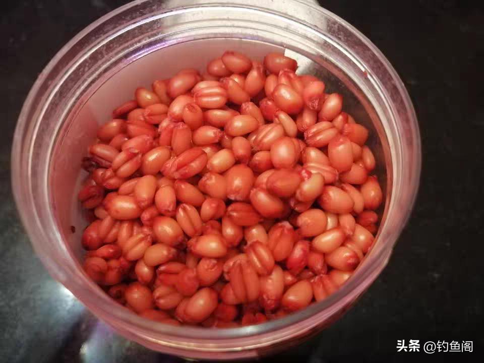 麦粒能钓到鲫鱼吗,为什么用饵料钓不到鲫鱼