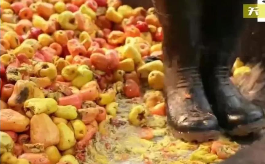 印度游客来中国参观,实拍印度人来中国旅游