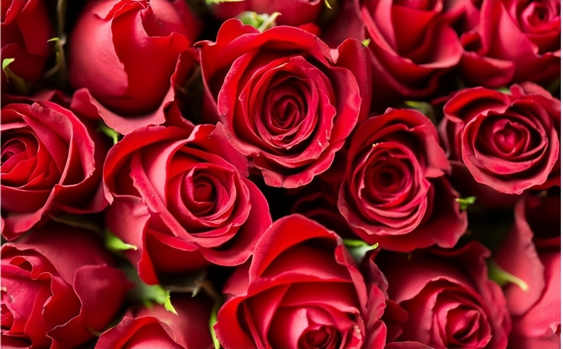 黑龙江孕妇诱骗16岁女护士，供丈夫玩乐后，将她杀害并抛尸荒野