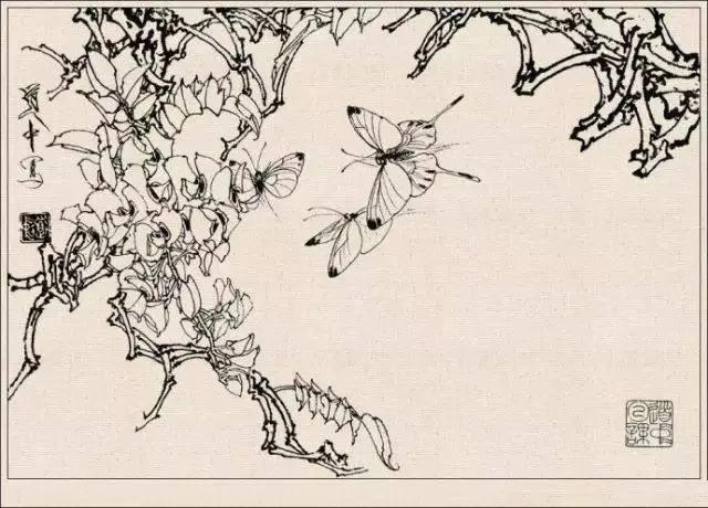 工笔草虫白描王道中,写意花鸟画草虫绘画过程分享