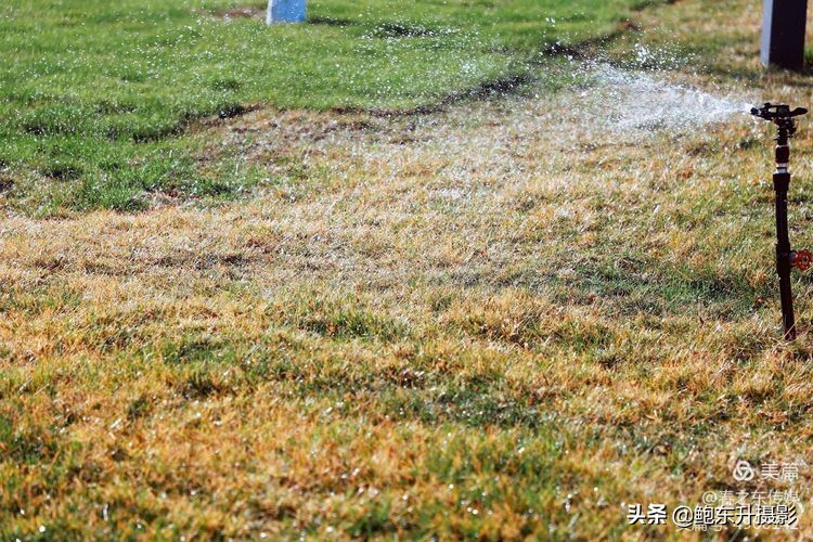 清晨的公园静态美和动态美,运城体育公园夜间灯光