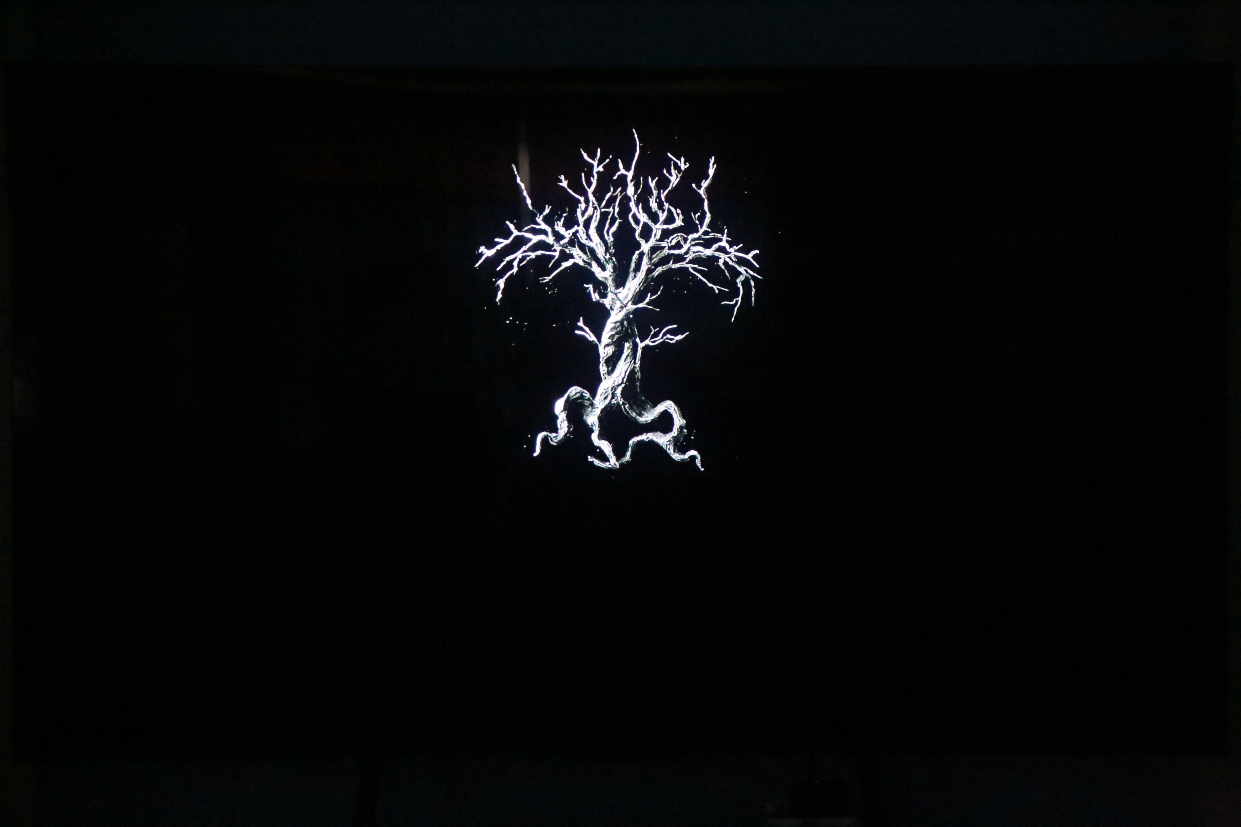 2022最值得买的miniled电视,2023年热销的tcl电视