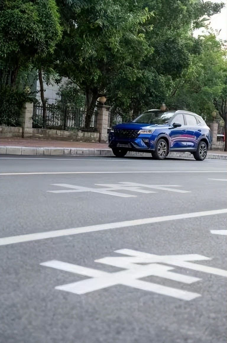 星驰觅食记，小院下午茶