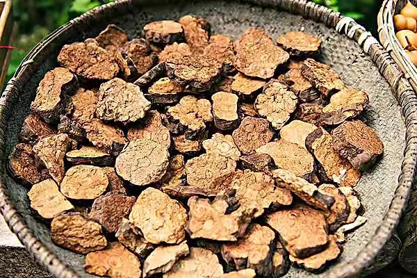 白发越拔越多是有根据的,白发真的会越拔越多嘛