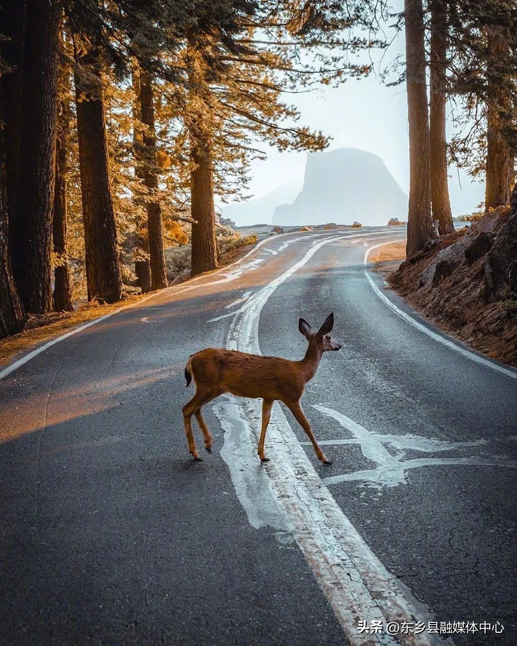 秋天丰收的雅称大全,秋天的雅称有哪几种