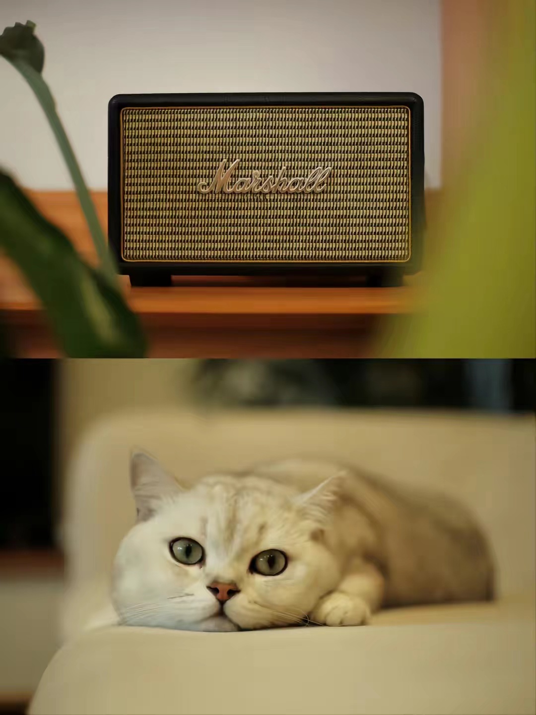 富士半画幅相机变焦头推荐,富士相机夜景镜头推荐