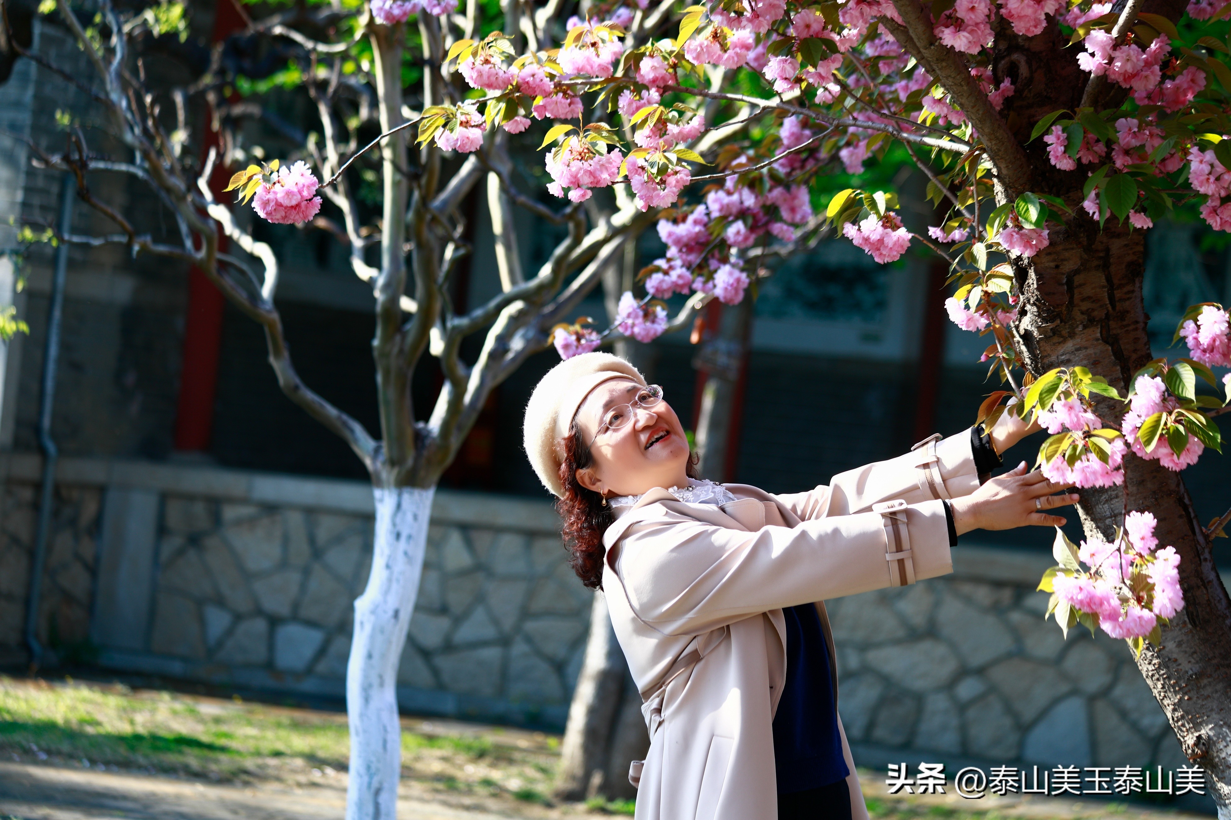 山亭寺沟樱花,定山溪樱花