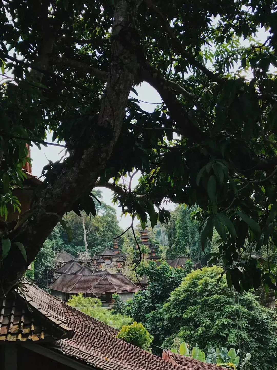 两名中国游客不幸身亡事件,两名中国游客身亡原因