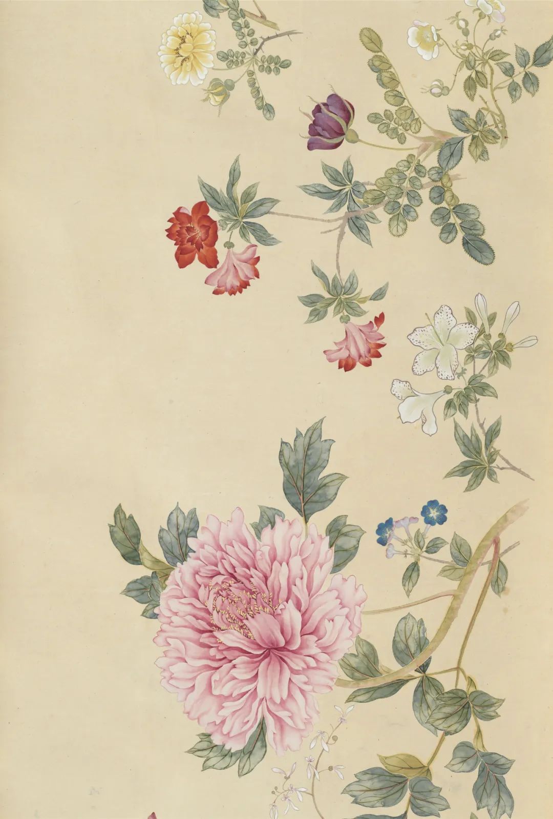 慕容看世界的视频,慕容看世界所有视频