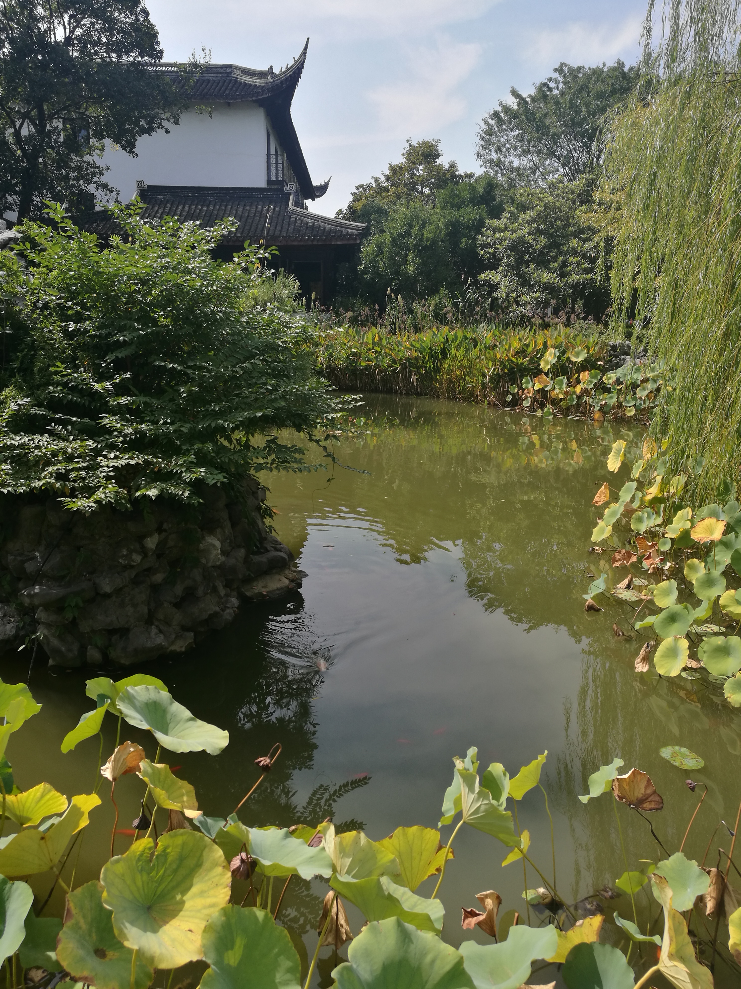 苏州东山农贸批发市场图,苏州东山轻轨