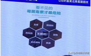 养殖户谈霉色变，你了解霉菌是如何产生和它的危害吗？