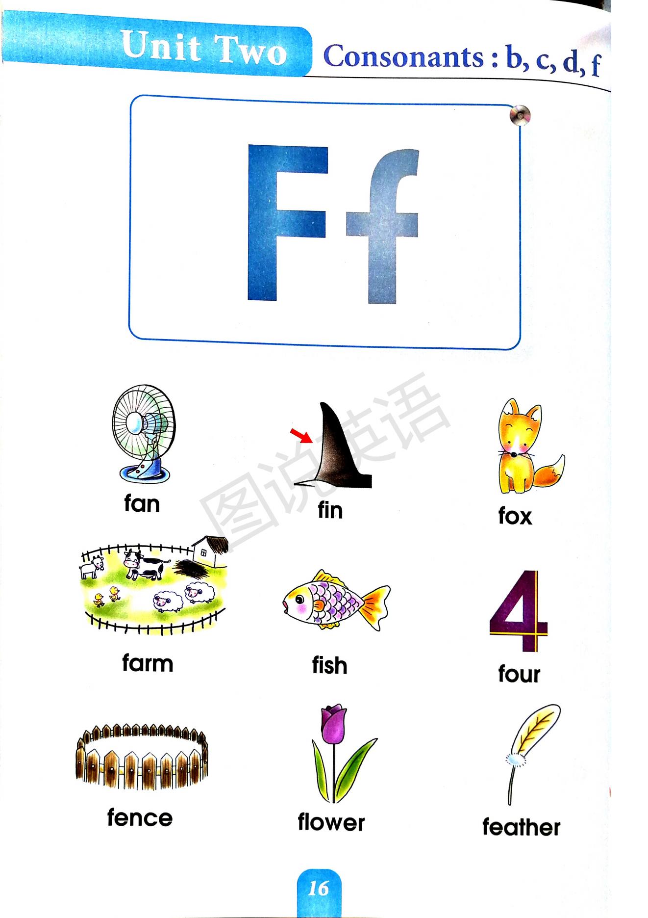 一口背,一口学会国际音标