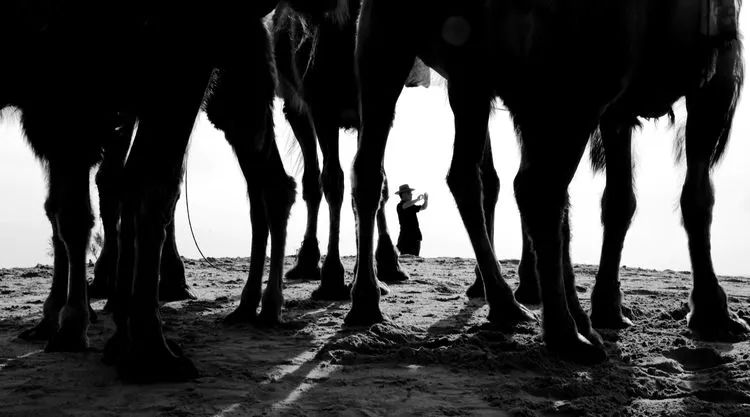 内蒙奈曼旗宝古图沙漠摄影,内蒙古古祭敖包
