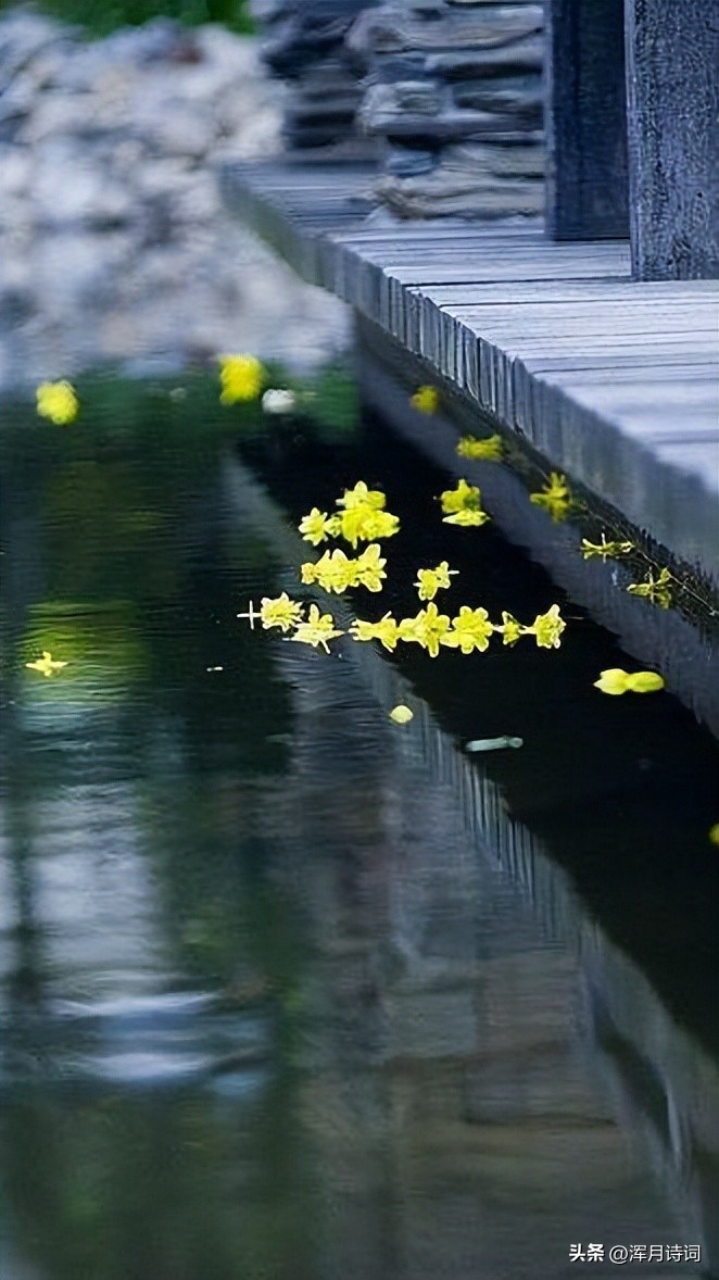 二十首关于风的诗句,二十句关于风的诗句