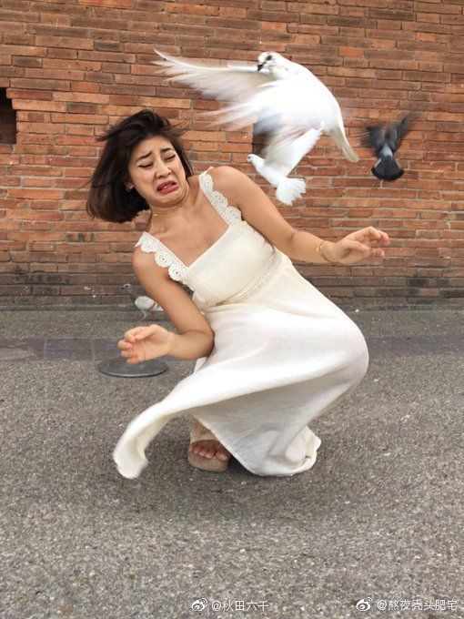 搞笑动物头像沙雕图片,搞笑图片沙雕图片