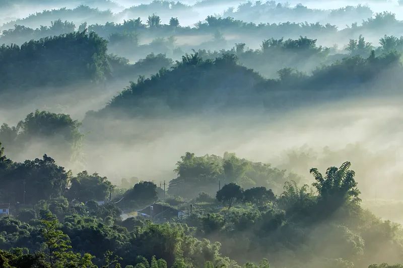 最美汉字,最美的汉字解析