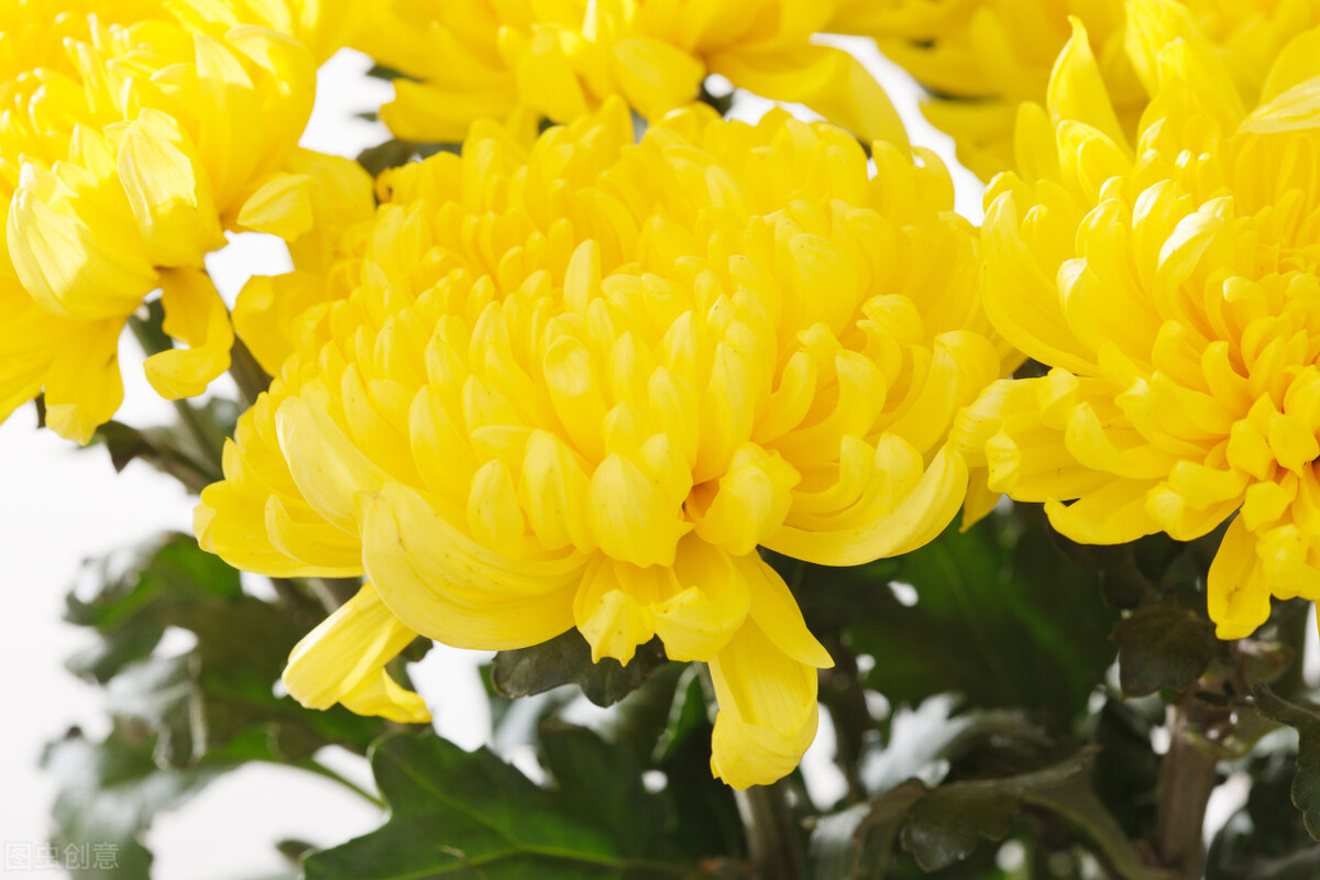 34条简短的一句话个性签名短句,个性签名哲理精辟简短句子