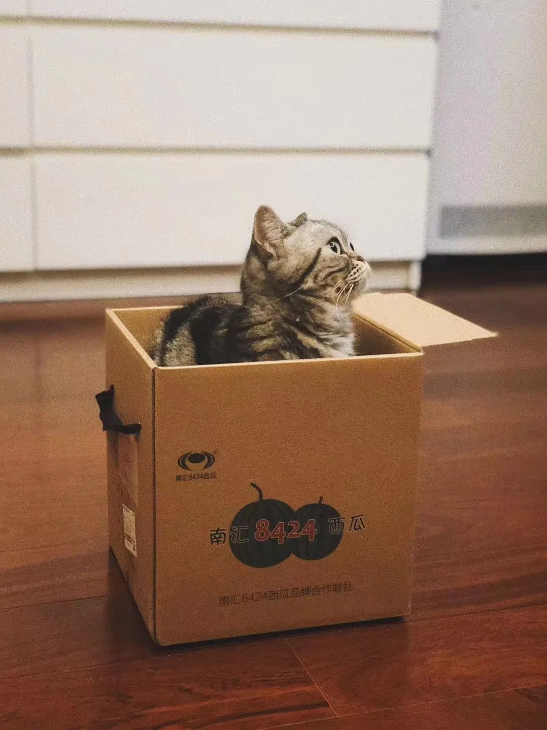 抖音赚钱的本质和底层逻辑,抖音上赚钱的3种商业模式