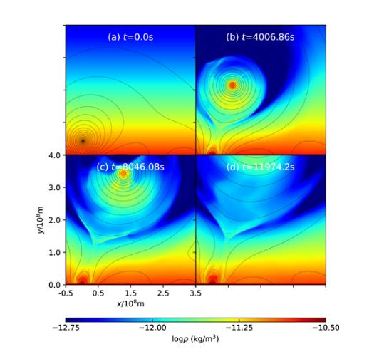 量化L4处的辐射带电子损失过程