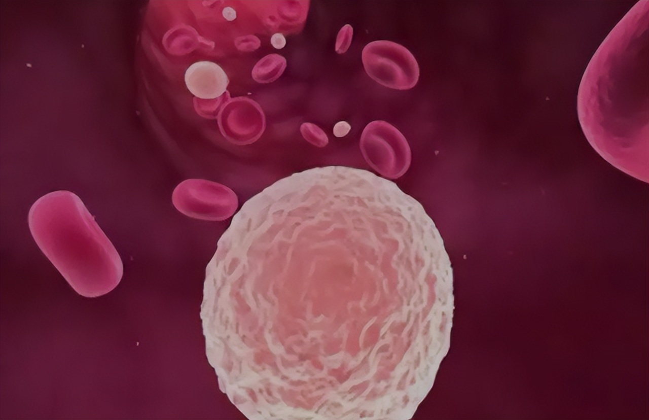 血常规指标高或低多少会有危险,血常规检查3项高有什么病