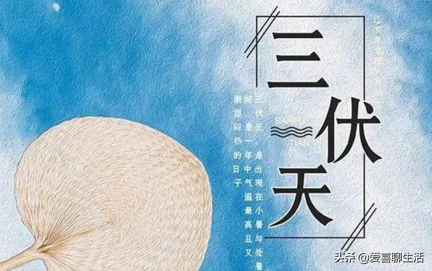 三伏将至，如果条件允许，要常吃5种食物，温阳又防暑平安过三伏