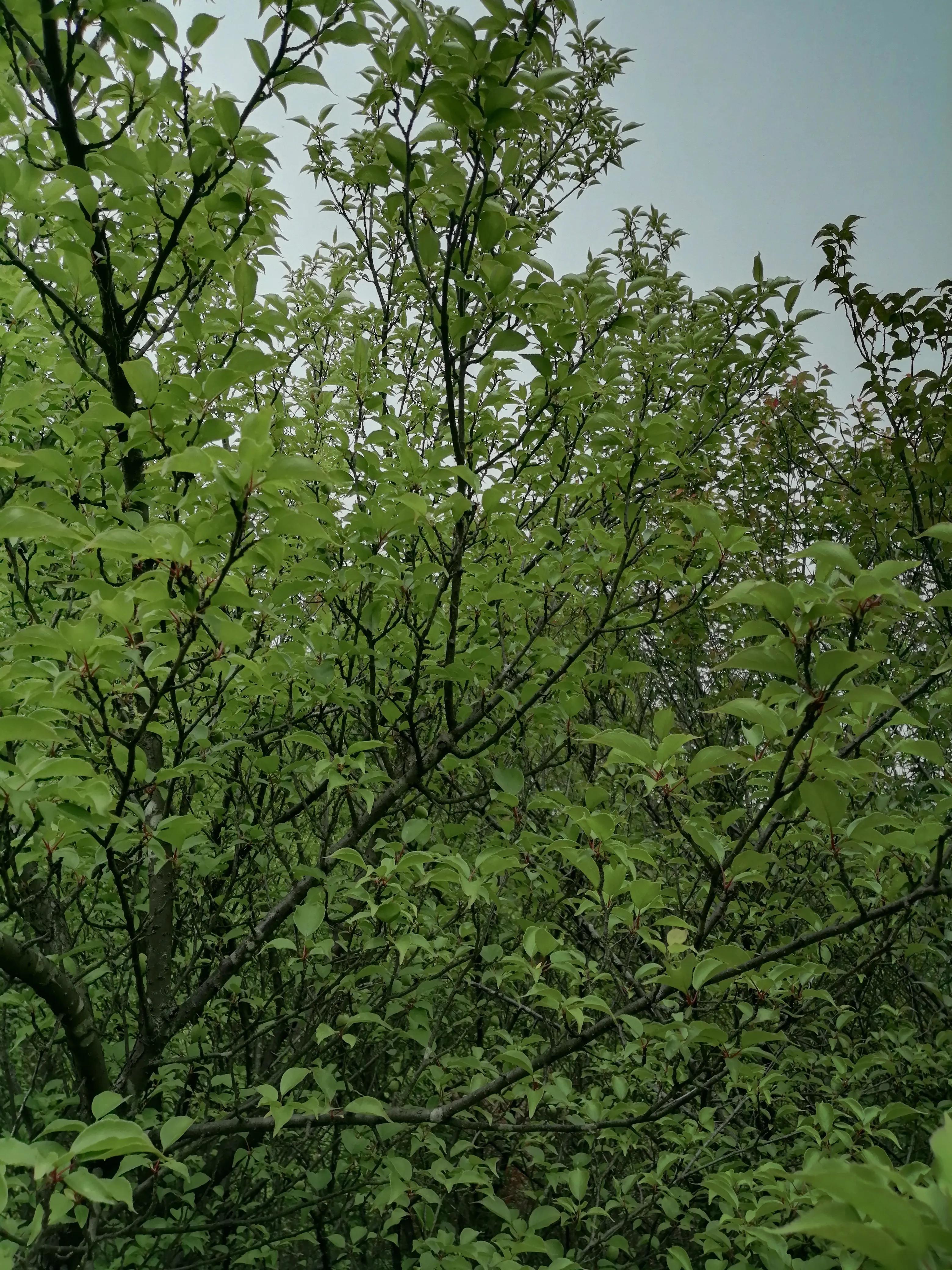 怀孕八个月引产需要家属签字吗,怀孕八个月了还能打掉孩子吗