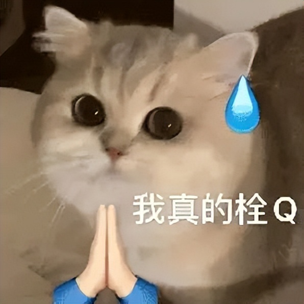 鐨囧鐚伯鑳戒笉鑳戒拱,涓嶆兂涔板搧鐗岀殑鐚伯