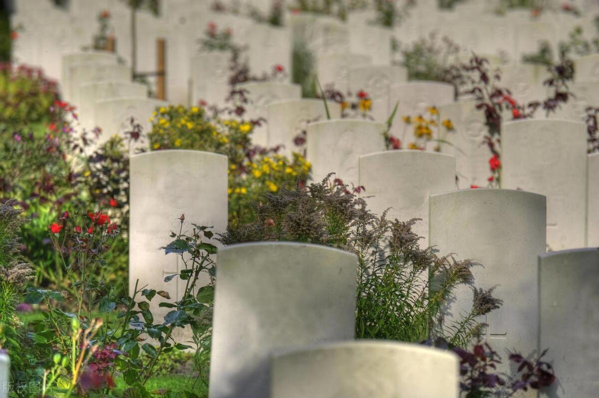 除夕夜有个奇葩跑到公墓偷骨灰盒，守墓人吓坏了：觉得他不像人