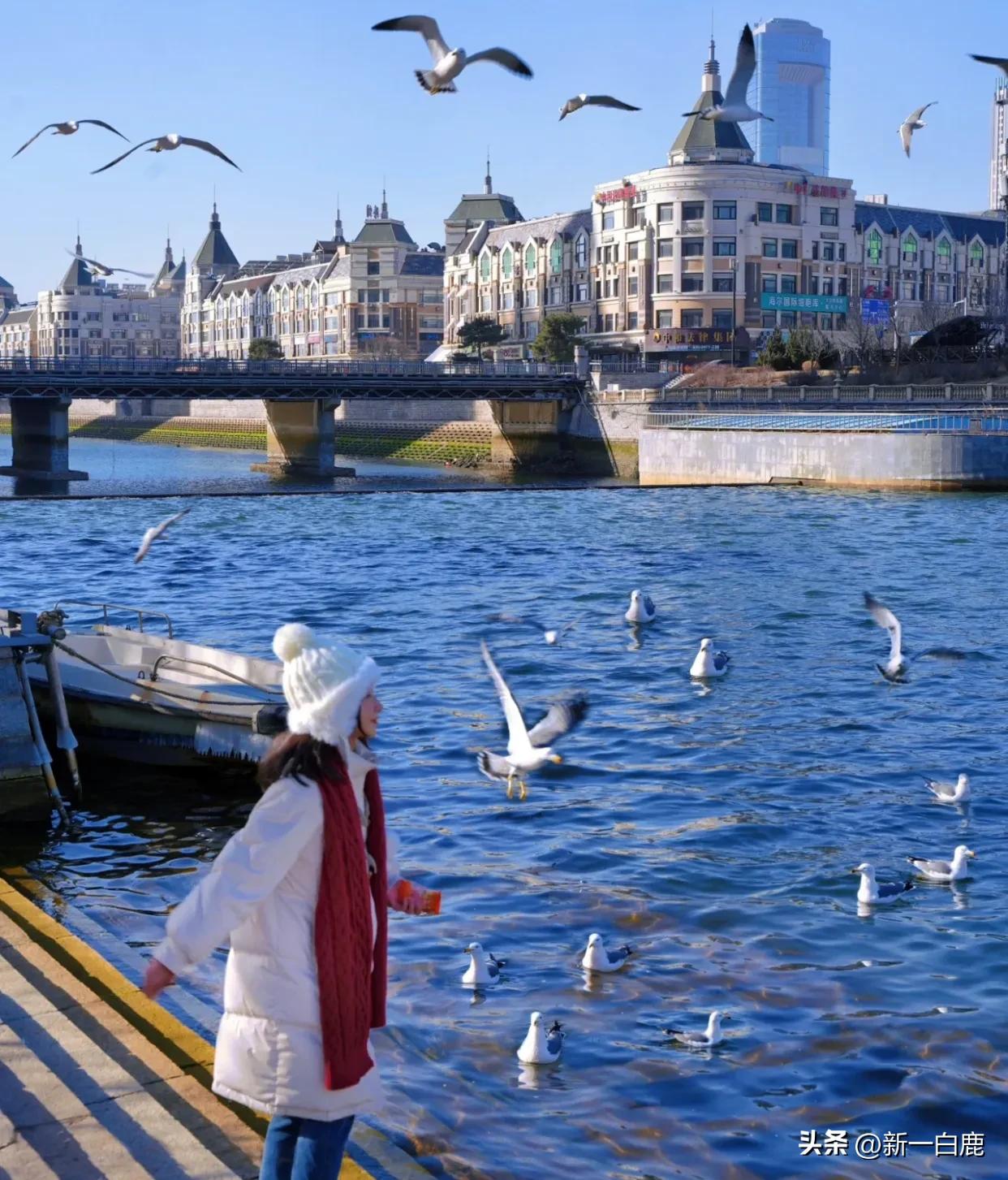 韩国人在中国最多的8个城市,韩国人在中国生活最多的城市