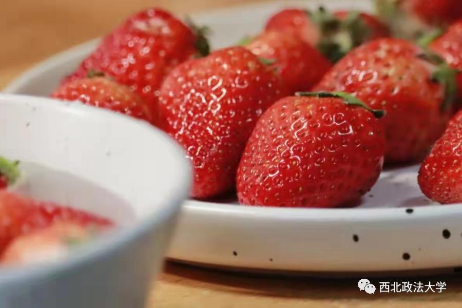 西法大到底是什么,西法大是什么意思网络用语