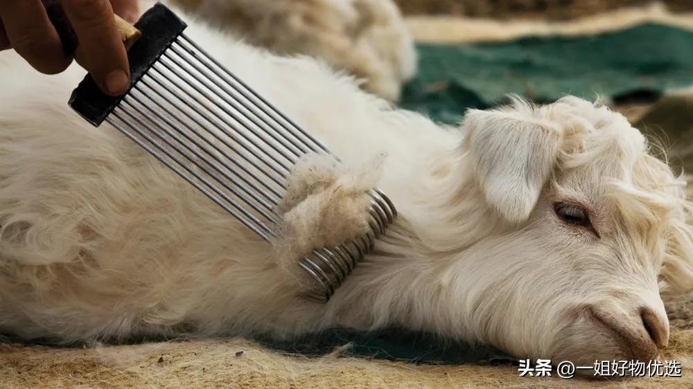 缇婄粧鍥村肪澶х墝鍚屾,缇婄粧鍥村肪鍘熺粧