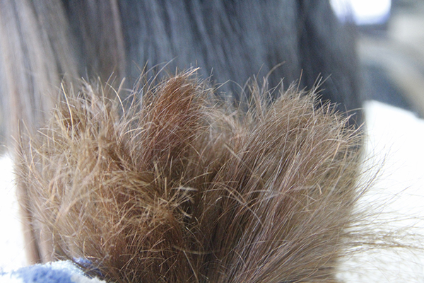 怎么解决头发出油的问题,怎样解决头发出油的问题