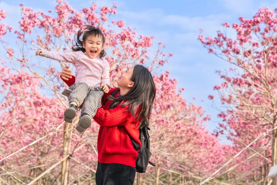徒步大会、烟花秀、三转文塔…三水区闹元宵活动攻略→