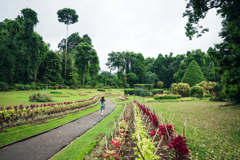 斯里兰卡旅游攻略必去景点,斯里兰卡旅游攻略最佳时间