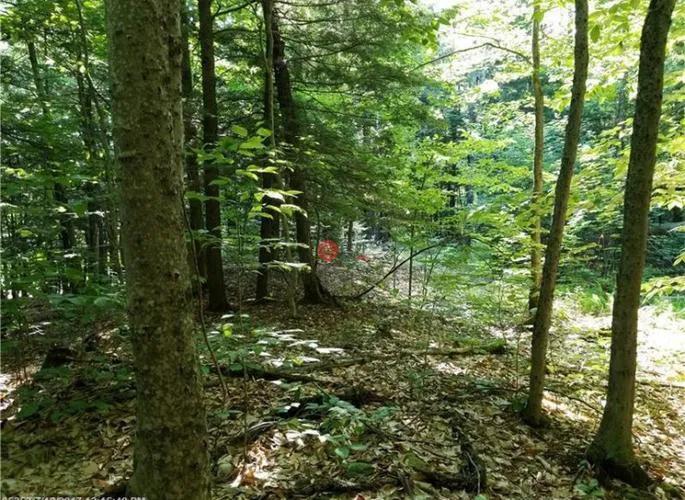 美国各州gdp排名及州府,美国50大城市GDP排名2020年