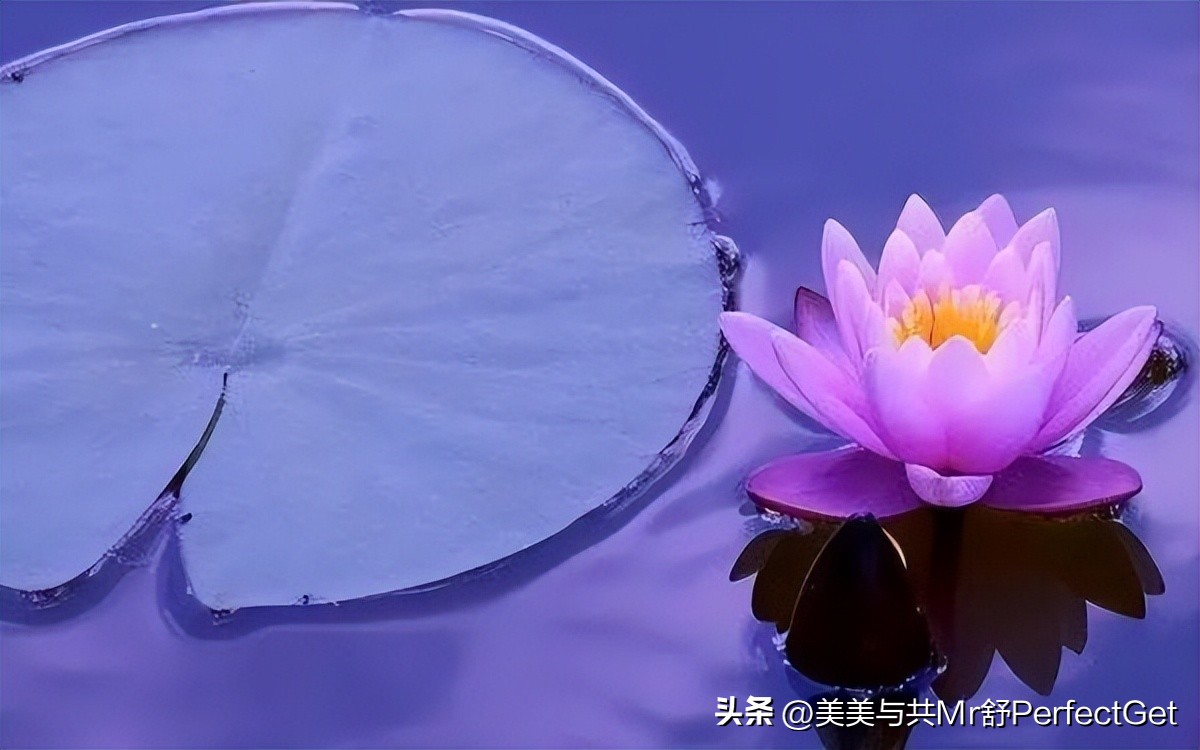 请教：抖音火山版与抖音短视频有什么区别？