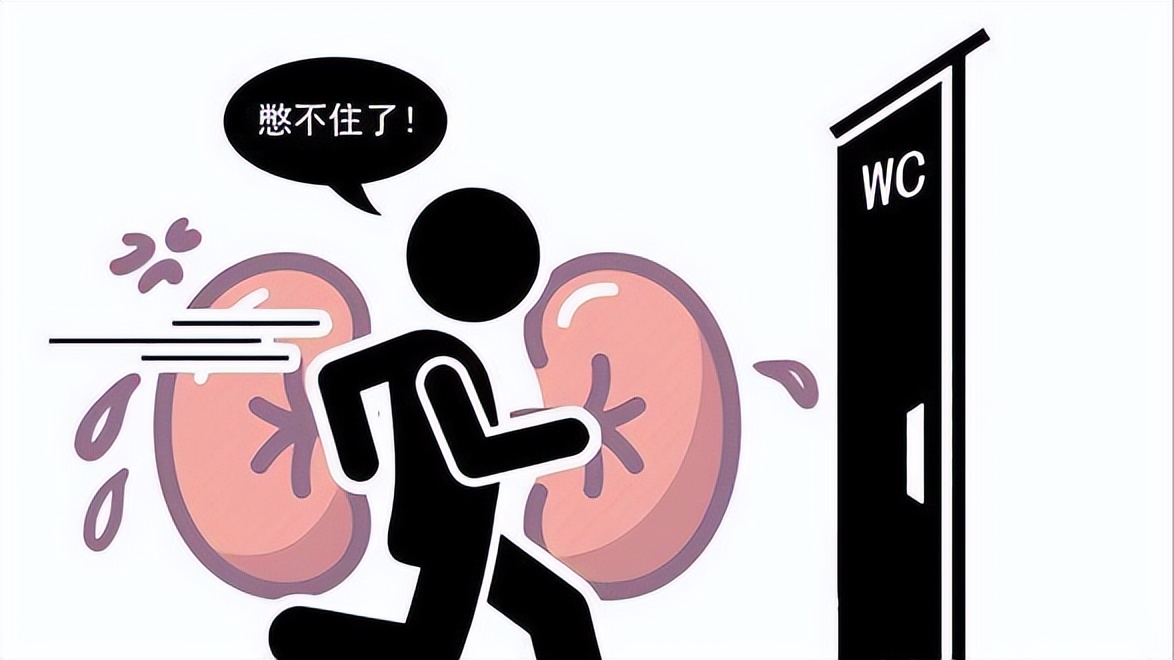 膀胱炎总是尿频治不好怎么办,慢性膀胱炎尿频可以除根吗