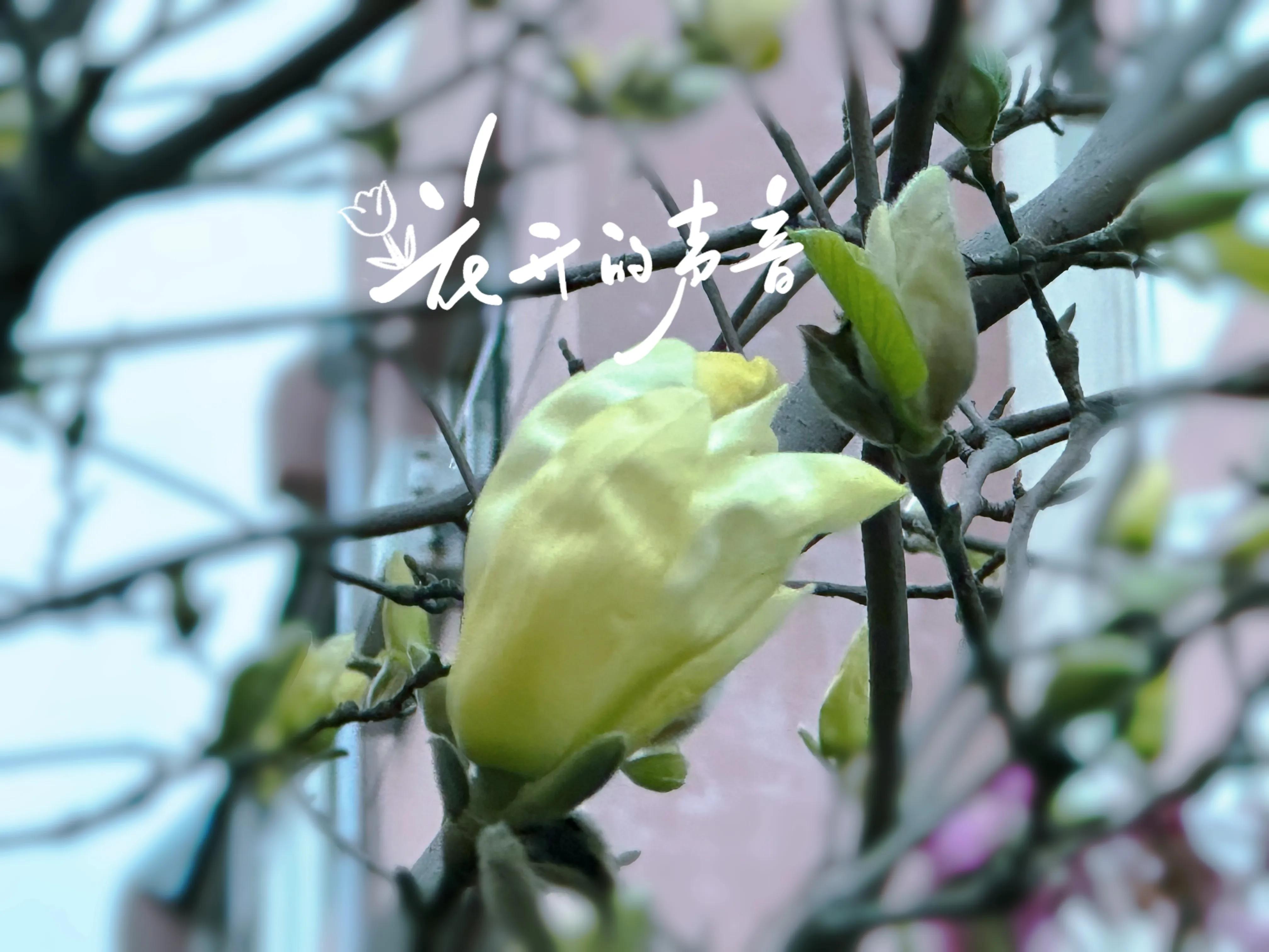 描写仲春的古诗,仲春郊外古诗加拼音视频