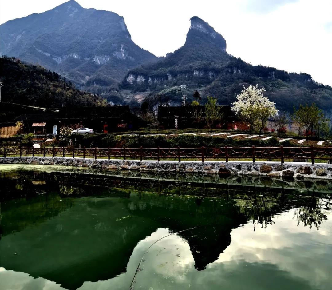 原创散文：冥冥中，似与年轮追三国的栗子坪有着从未隐断的牵连