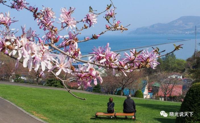中日文化艺术交流,中日合唱北国之春