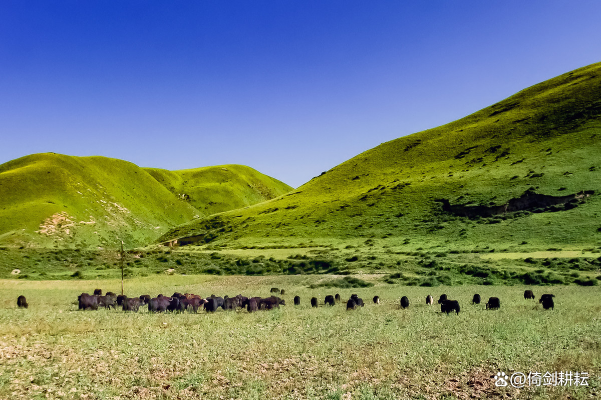 全国最冷清的景点,中国最冷清机场航班