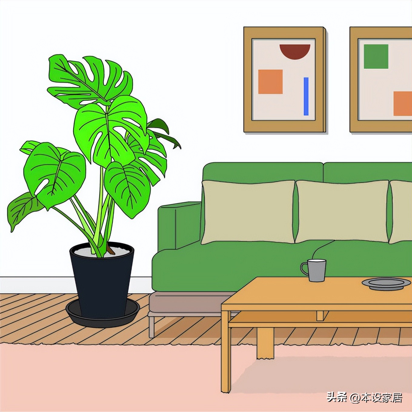 吸甲醛净化空气的绿植和花有哪些,室内净化空气用什么绿植最好