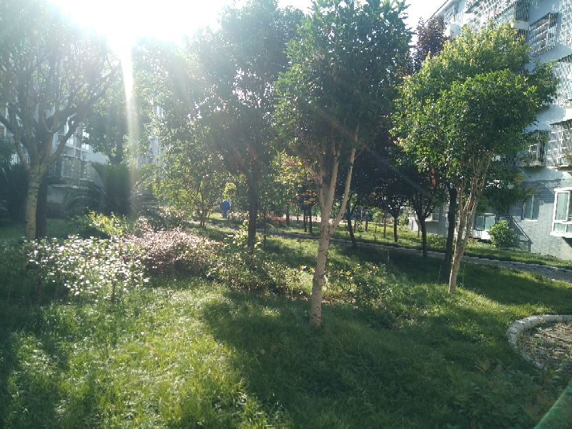 《她这样是嫌弃婆母吗》