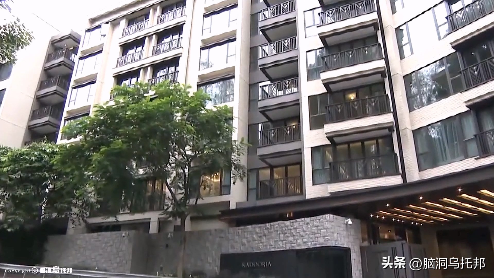 名媛碎尸案最新案情,名媛蔡天凤碎尸案细节视频