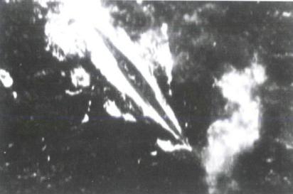 漂泊的鱼完整版,漂泊的鱼鹰