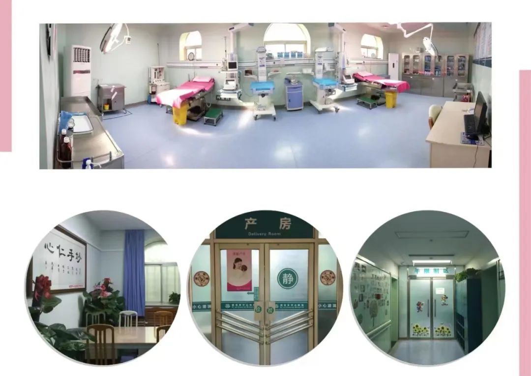 瀵绘壘鍘嗗彶鏂囧寲浼犳壙,杩藉鍘嗗彶瓒宠抗浼犳壙绾㈣壊鍩哄洜