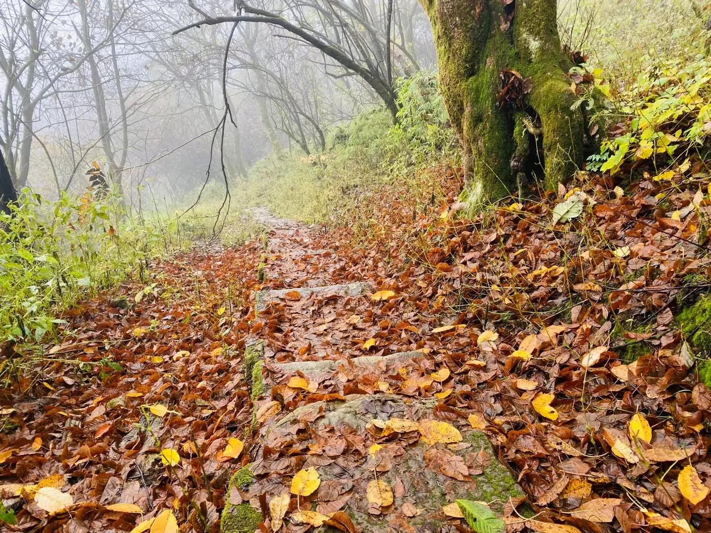 一线教师怎么做,一线老师怎样才能幸福