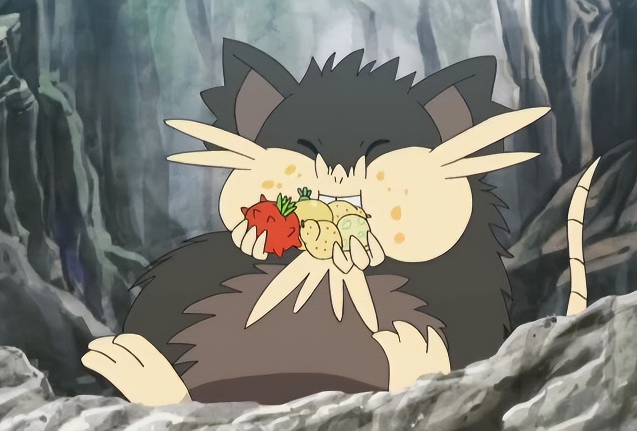 目标是一般系宝可梦大师！家门宠介绍之家门鼠篇